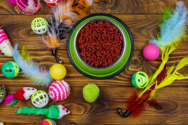 Set of toys for cat and bowl with dry pet food on wooden background. Top view. Pet care concept