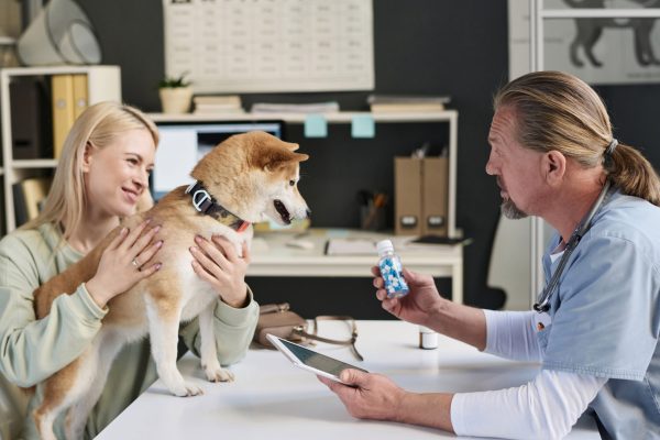 Veterinarian prescribing vitamins to dog while talking to its owner sitting in vet office in clinic